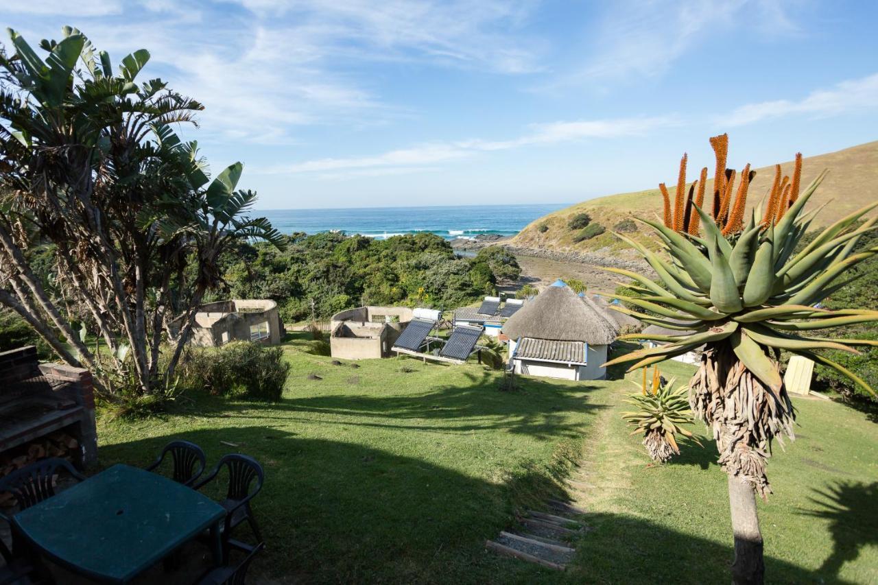 Coffee Shack Adventure Backpackers & Self-Catering Vandrehjem Coffee Bay Eksteriør billede
