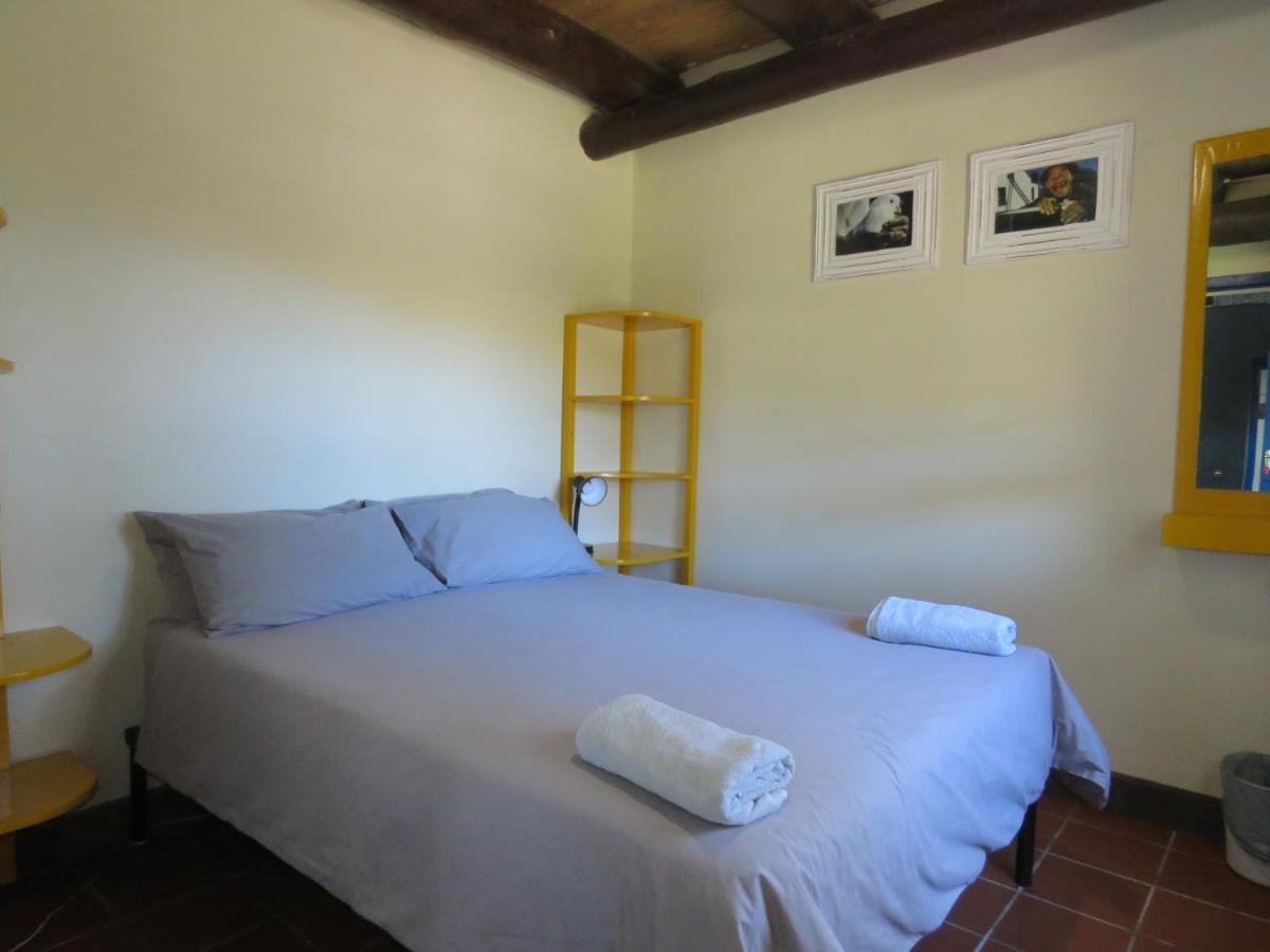 Coffee Shack Adventure Backpackers & Self-Catering Vandrehjem Coffee Bay Eksteriør billede
