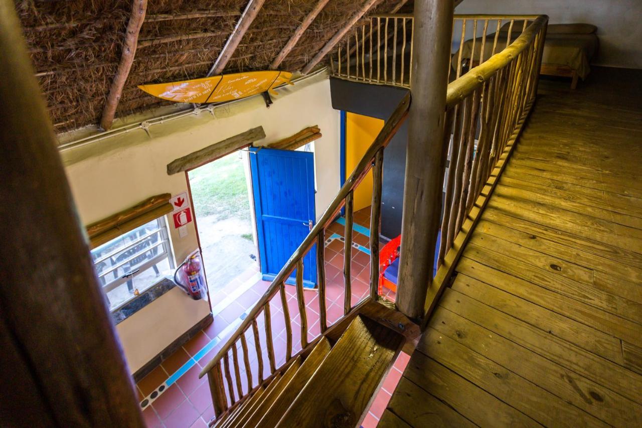Coffee Shack Adventure Backpackers & Self-Catering Vandrehjem Coffee Bay Eksteriør billede