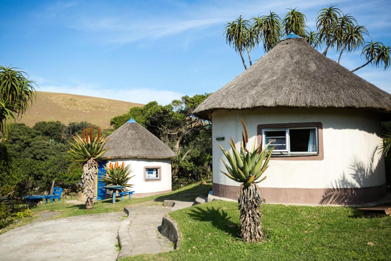 Coffee Shack Adventure Backpackers & Self-Catering Vandrehjem Coffee Bay Eksteriør billede