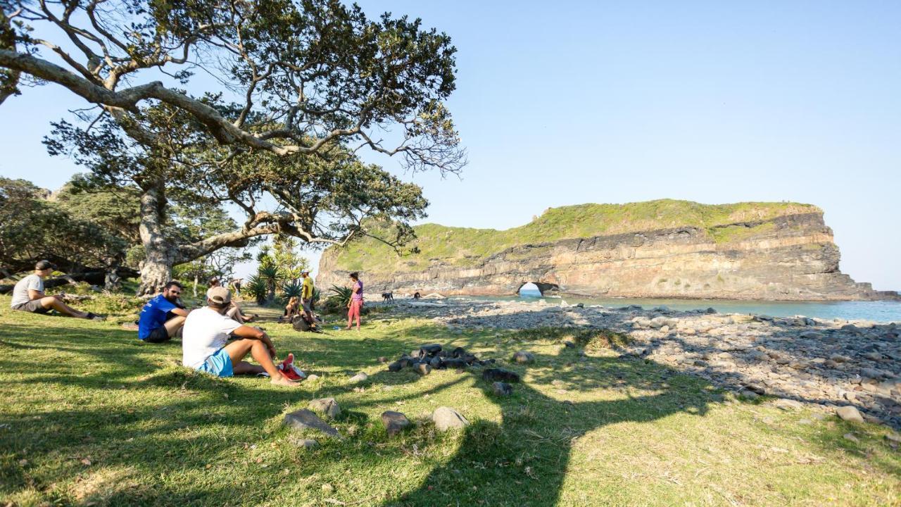 Coffee Shack Adventure Backpackers & Self-Catering Vandrehjem Coffee Bay Eksteriør billede
